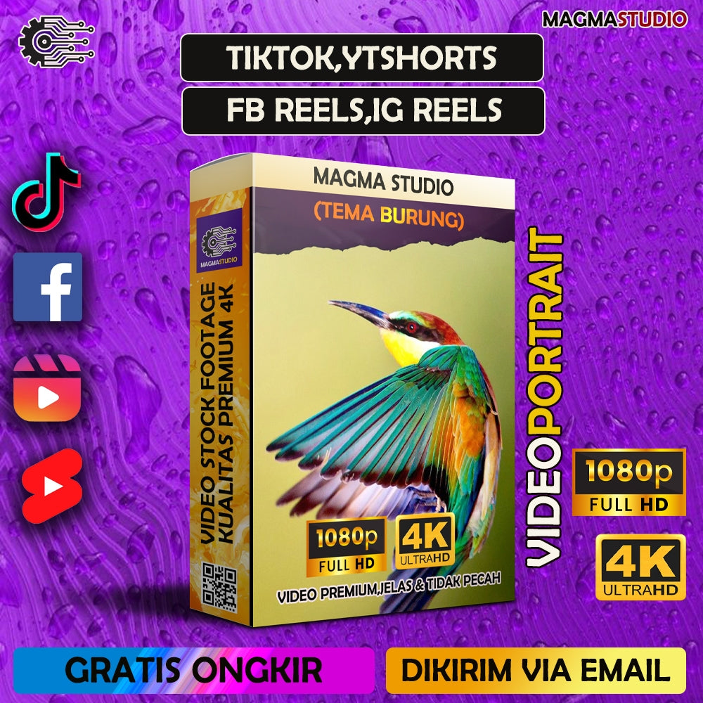 1000++(4K) Footage Portrait BURUNG - BAHAN YOUTUBE-Tikt0k