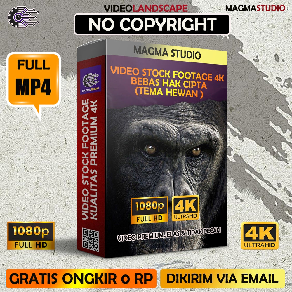 2000++(4K) Video Stock Footage BERBAGAI HEWAN - Video Stock Footage ULTRA HD