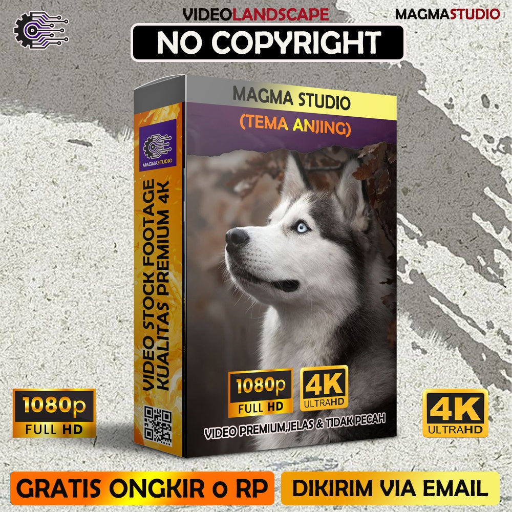 1000++(4K) Video Footage TEMA ANJING- BAHAN YOUTUBE - Video Untuk Konten Kreator