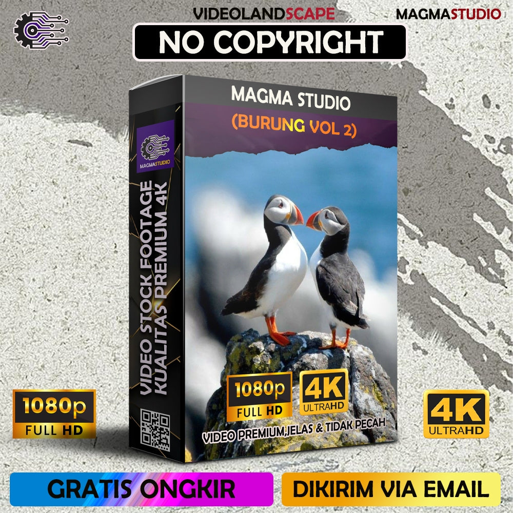 1000++ (4K) VOL 2 Footage BURUNG (Puffin,Hummingbird,Macaw Dll) -Video Stock Footage ULTRA HD