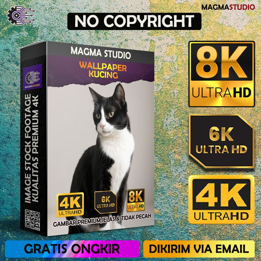 1000++ 4K 6K 8K WALLPAPER KUCING Stock Footage ALL ORIENTATIONS Premium Resolusi Tinggi