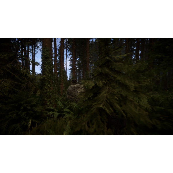 Son of The Forest Steam Access OFFLINE |FULL GAME| LIFETIME GUARANTEE 24 Hour Auto Delivery