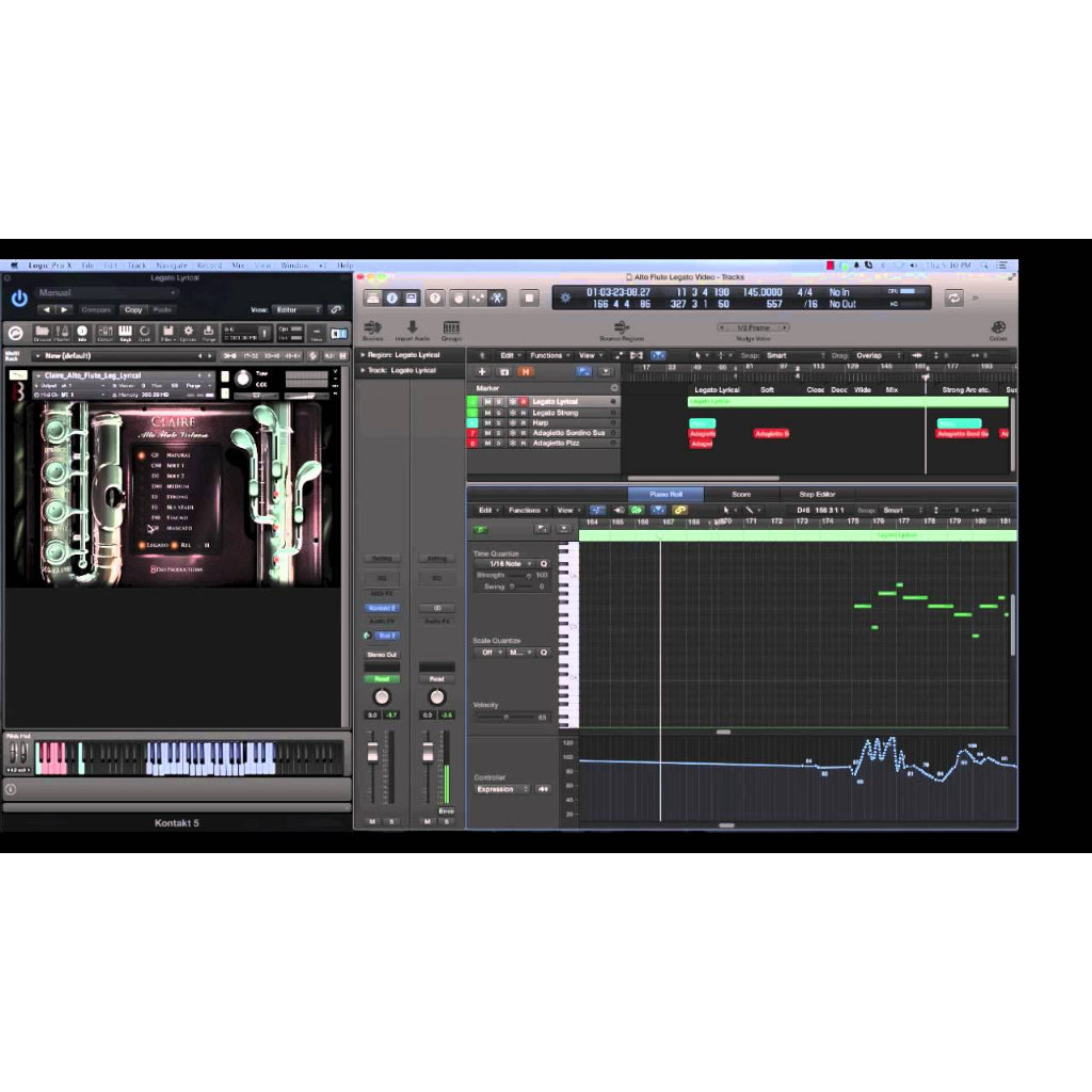 Claire Alto Flute Virtuoso  8Dio (Win/Mac) *Kontakt Library*