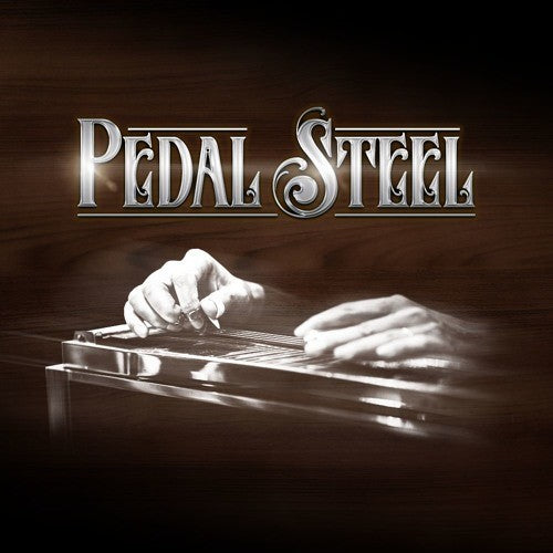 Pedal Steel  Impact Soundworks (Win/Mac) *Kontakt Library*