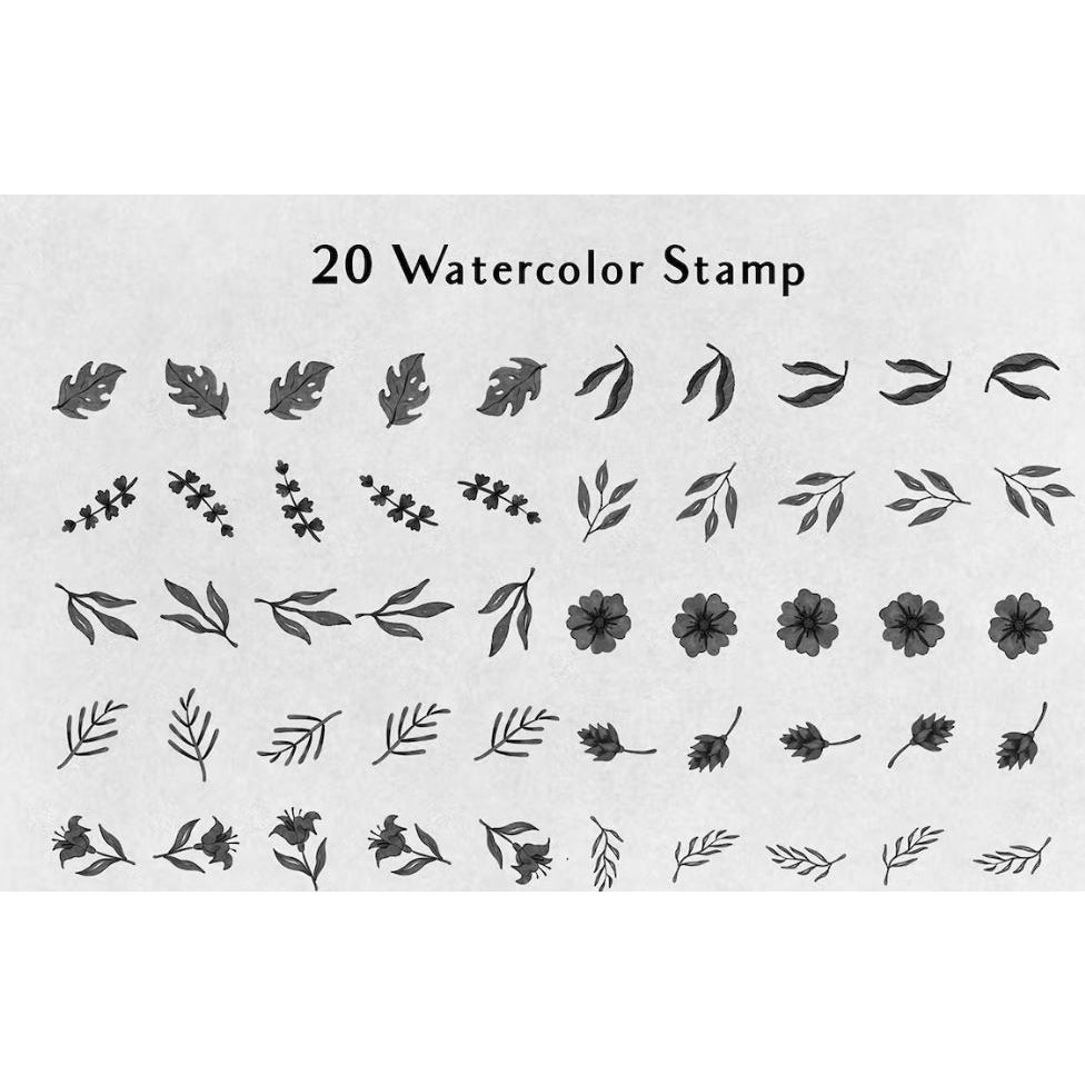 Procreate【1099】Floralies 花草手绘