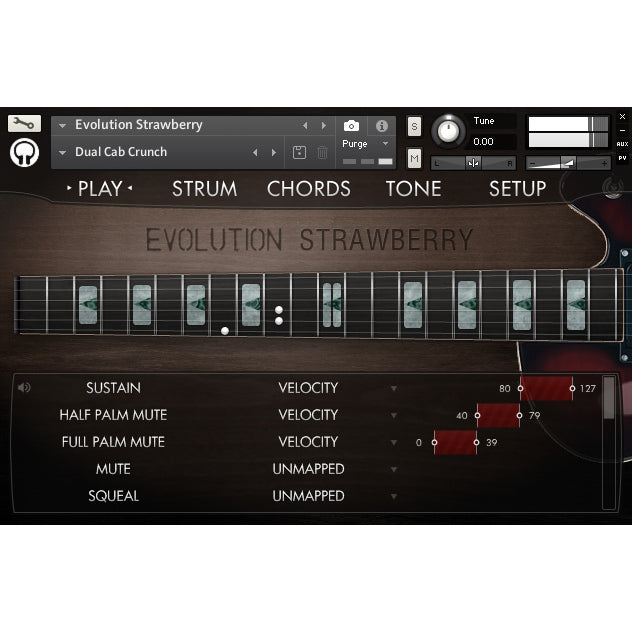 Evolution Strawberry  Orange Tree Samples (Win/Mac) *Kontakt Library*