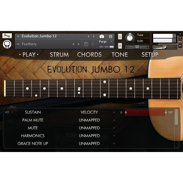 Evolution Jumbo 12  Orange Tree Samples (Win/Mac) *Kontakt Library*