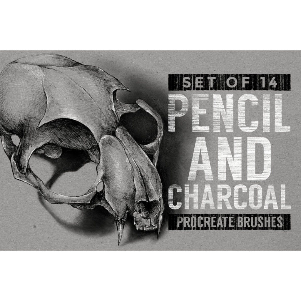 Procreate【T222】 Pencil and Charcoal Procreate Brushes