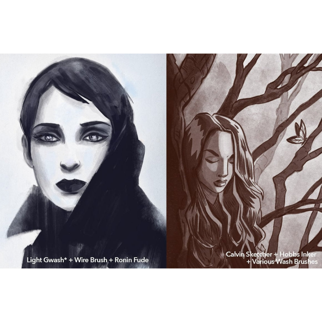 Procreate【T169】 Procreate Samurai Ink Brushes