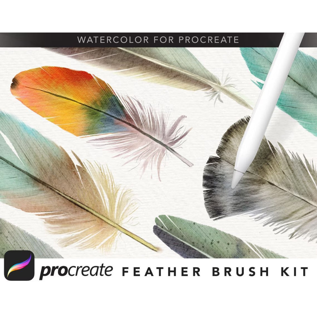 Procreate【T194】 Feather brush kit procreate