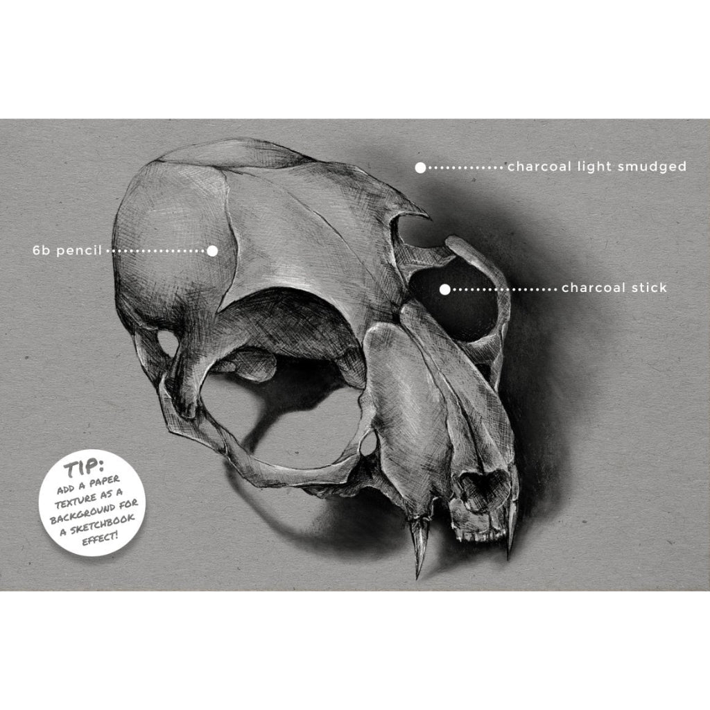 Procreate【T222】 Pencil and Charcoal Procreate Brushes