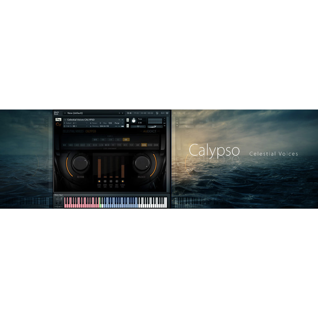 Celestial Voices Calypso  Auddict (Win/Mac) *Kontakt Library*