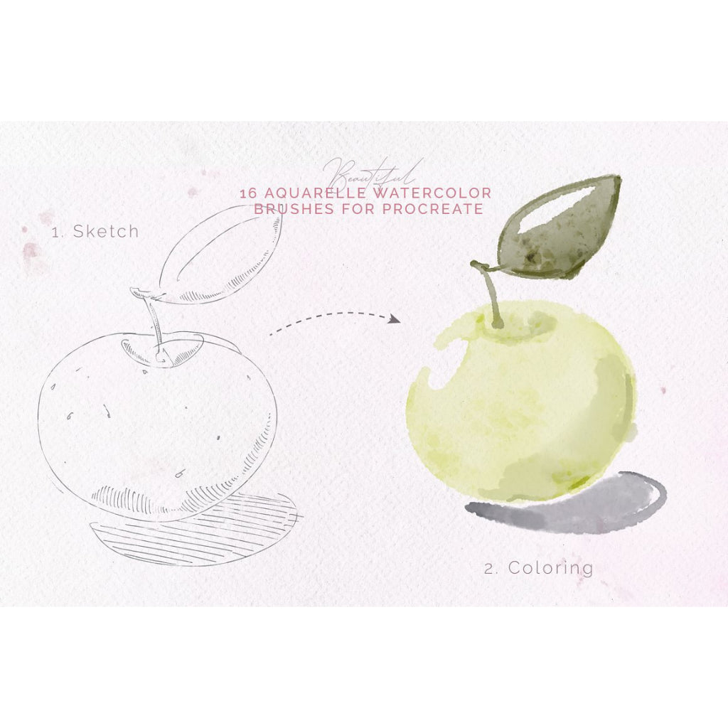 Procreate【T178】 Aquarelle Brushes for Procreate