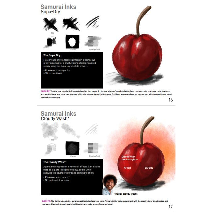 Procreate【T169】 Procreate Samurai Ink Brushes