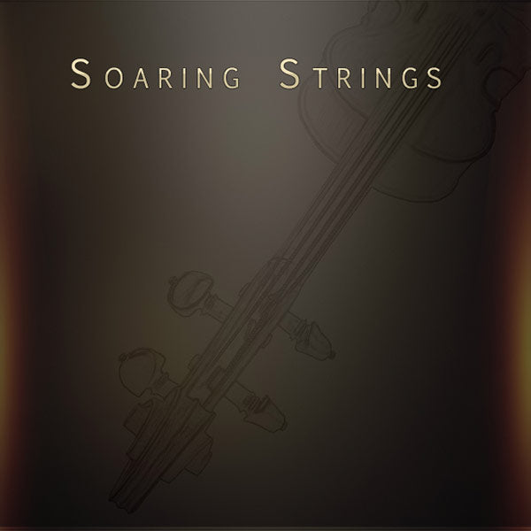 Soaring Strings  Musical Sampling (Win/Mac) *Kontakt Library*