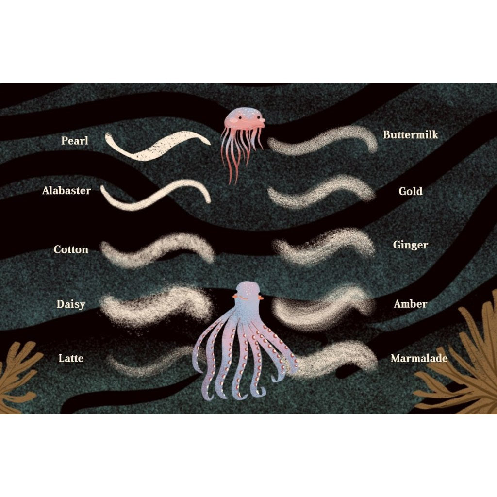 Procreate【T239】 Colorbox Studio for Procreate