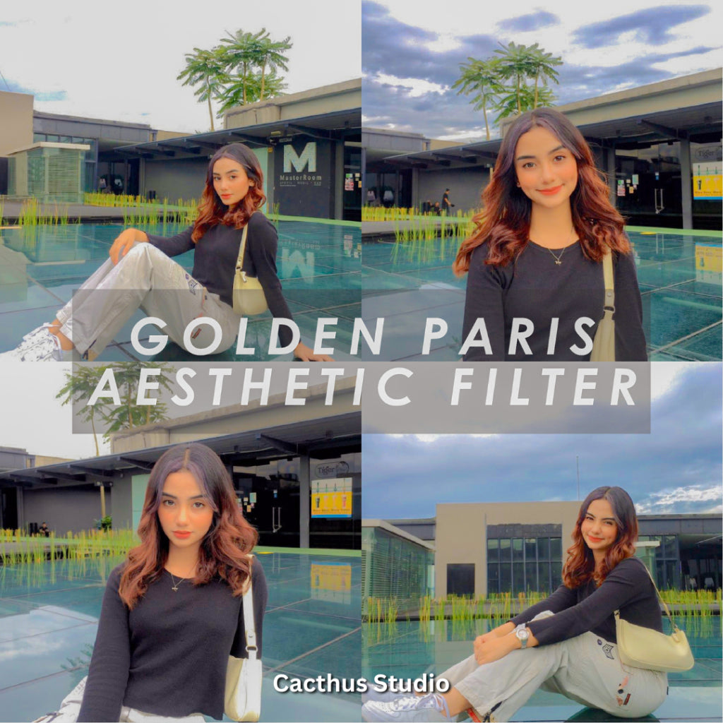Golden Paris Aesthetic | Lightroom Mobile Preset (iOS & Android)