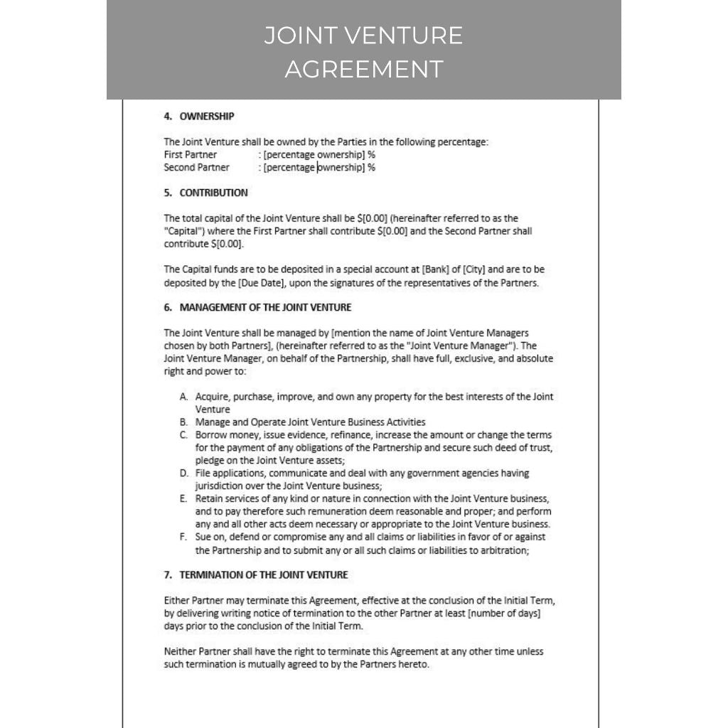 JOINT VENTURE AGREEMENT