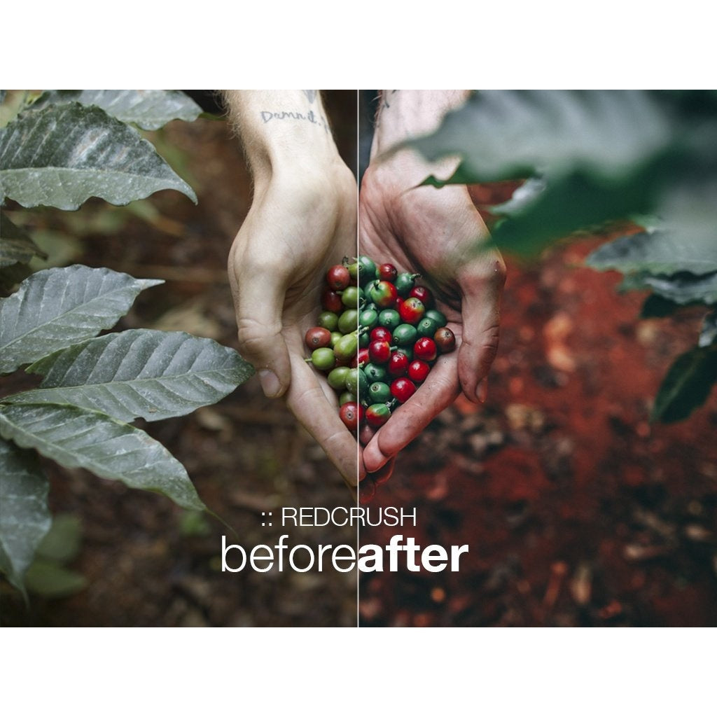 [PC/Mobile] Peter Mckinnon All in One Set | 2017, 2018, 2019, 2021  | Lightroom Preset - | Desktop + Mobile