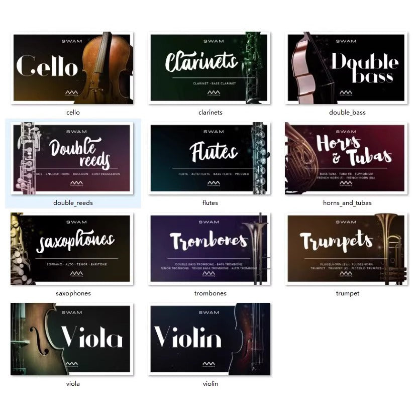 SWAM All In Bundle v3.5.0  (Win/Mac) VST VST3 AAX