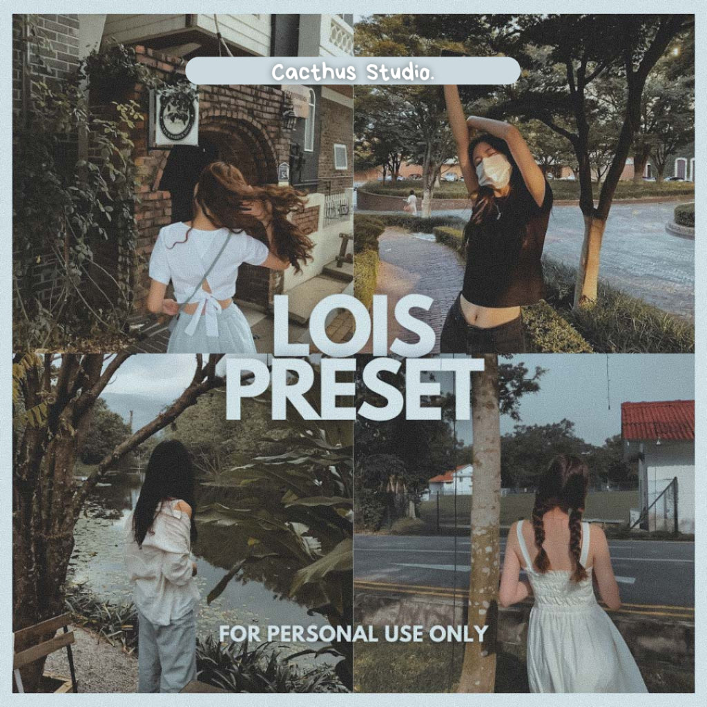 Lois Preset | Lightroom Mobile Preset (iOS & Android)