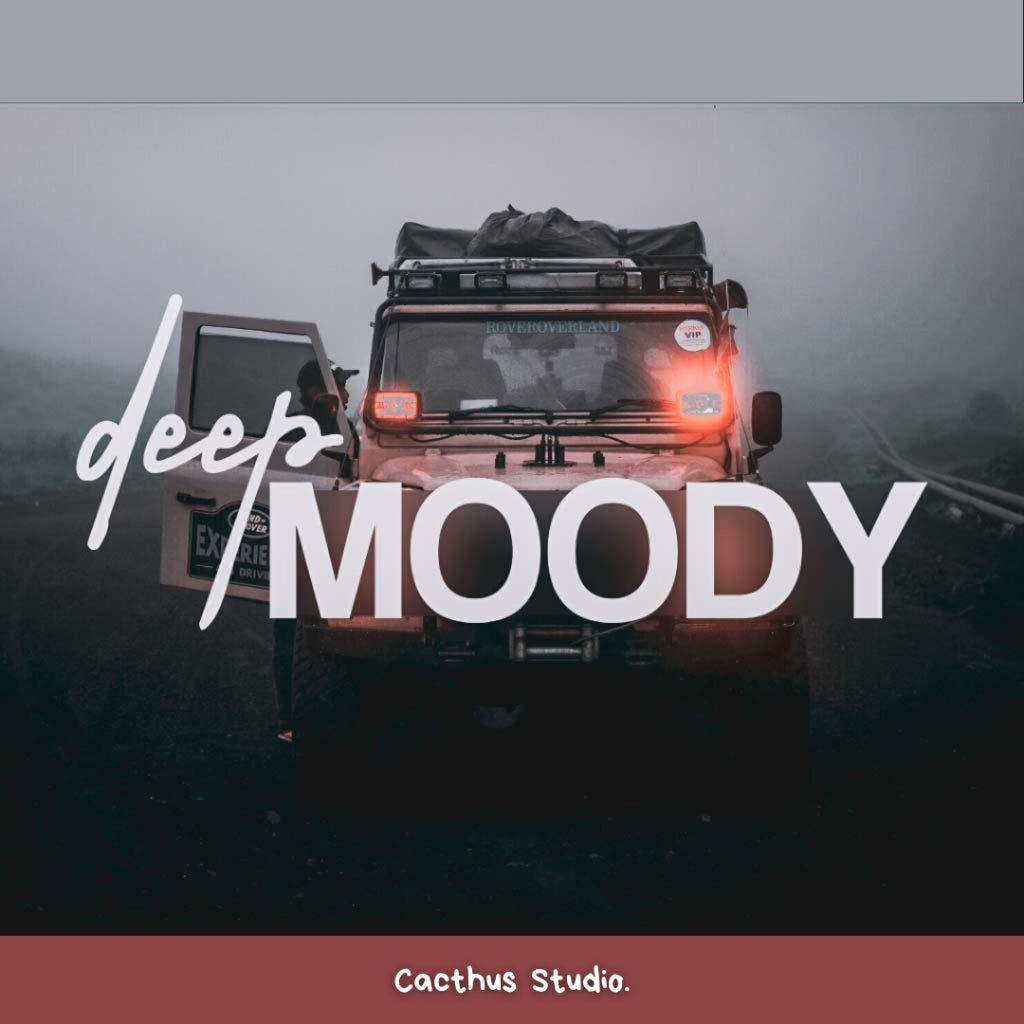 Deep Moody | Lightroom Mobile Preset (iOS & Android)