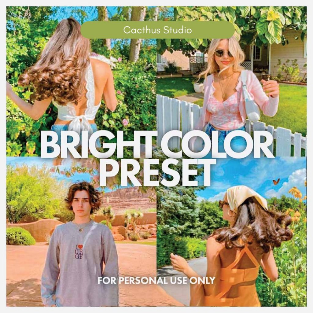 Bright Color | Lightroom Mobile Preset (iOS & Android)