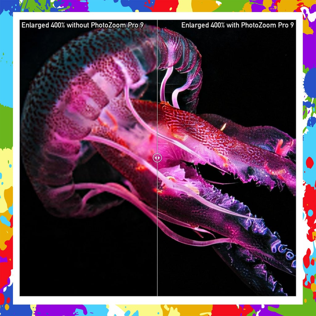 Benvista PhotoZoom Pro v9.0 Latest 2024 Lifetime For Windows