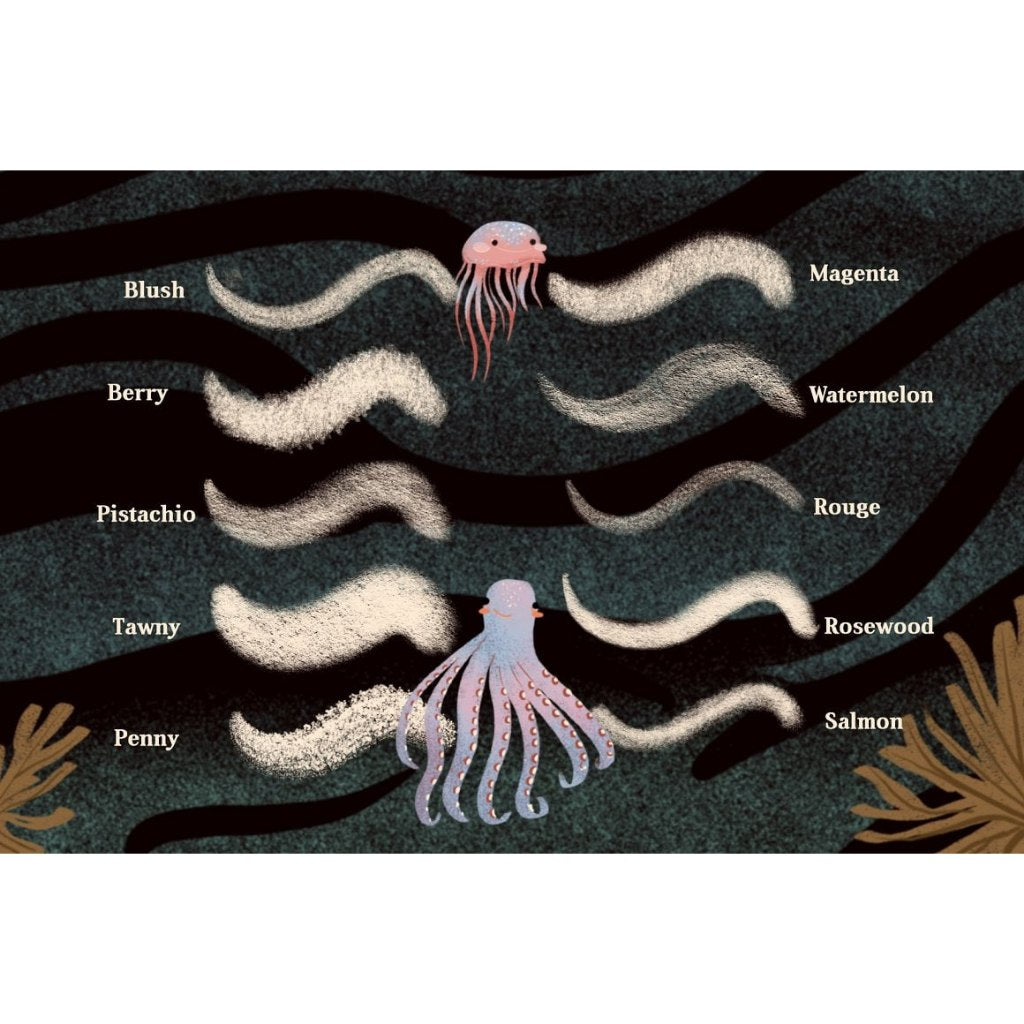 Procreate【T239】 Colorbox Studio for Procreate