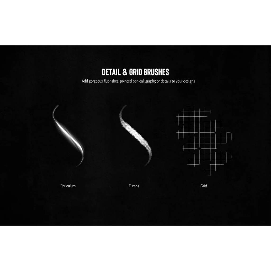 Procreate【T252】 The Bewitched Blackletter Brush Collection