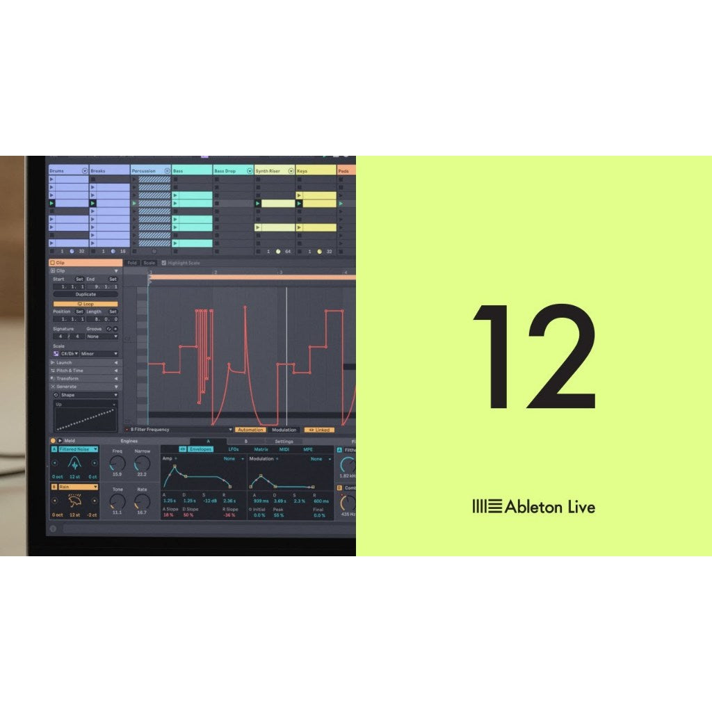 Ableton Live 12  (Win/Mac)