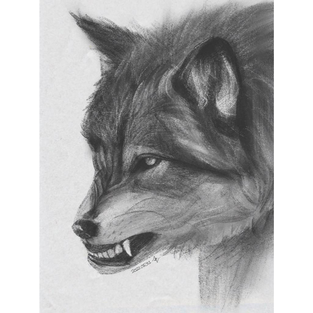 Procreate【T332】COFE's Charcoal Pro Pack for Procreate