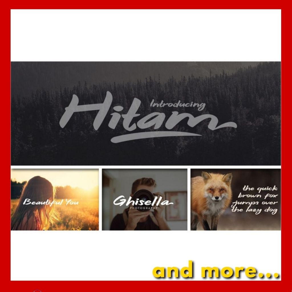 Font Bundle Collection | TTF & OTF Font.