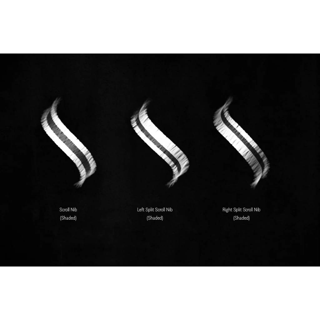 Procreate【T252】 The Bewitched Blackletter Brush Collection