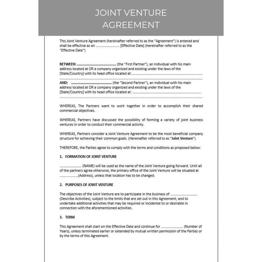 JOINT VENTURE AGREEMENT