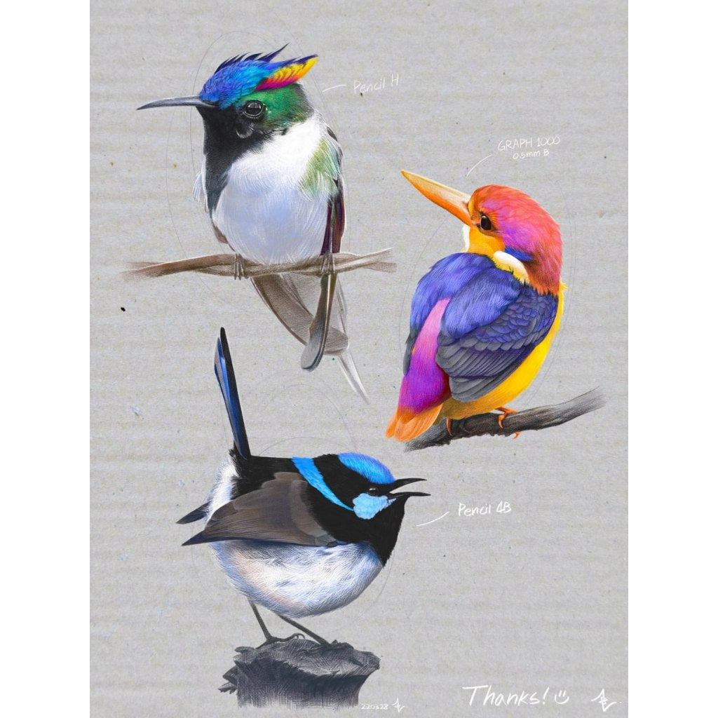 Procreate【T257】 COFE's Ultimate Pencil Pack for Procreate