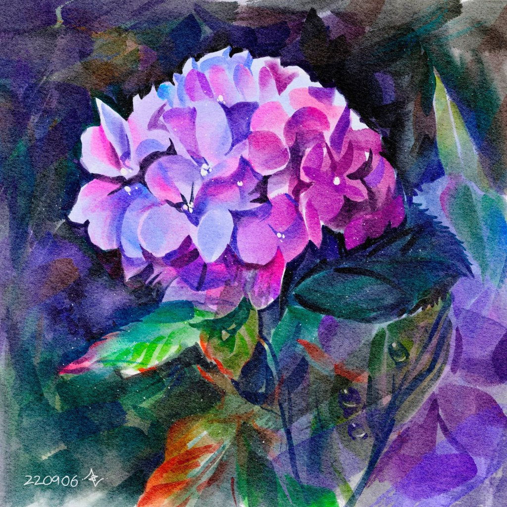 Procreate【T336】 COFE'sRealWatercolor Pack for Procreate