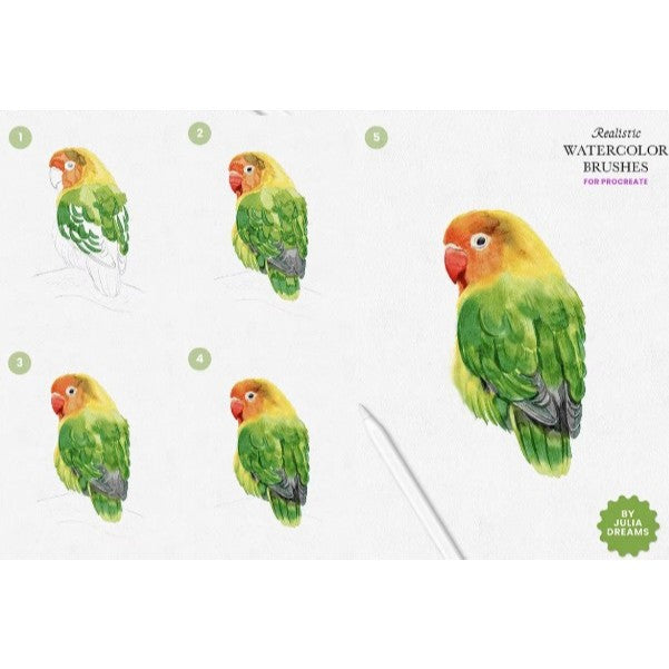 Procreate【T001】Realistic Watercolor Procreate Brushes