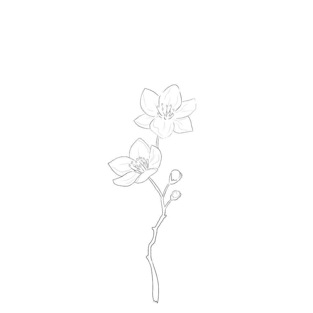 Procreate【T250531】 Realistic Watercolor Brushset