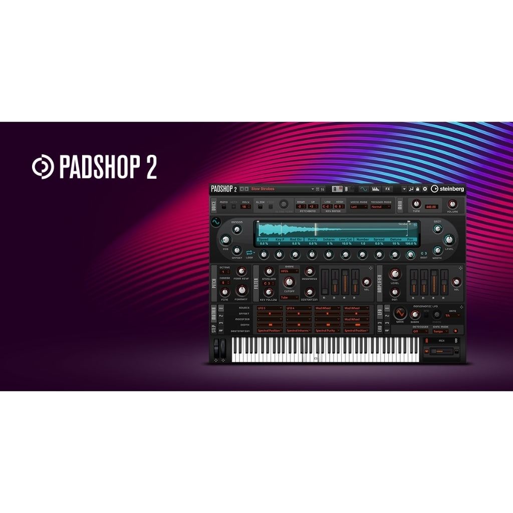 Cubase Pro 13  (Windows 64 Bits)