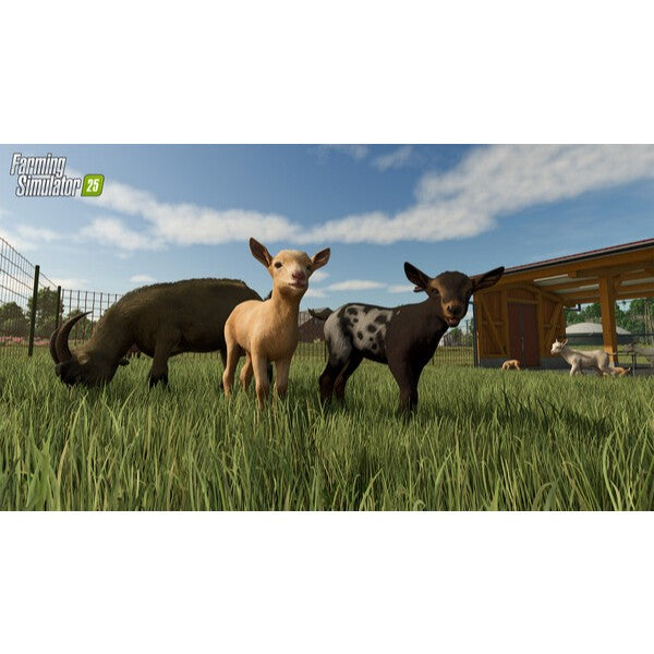 Farming Simulator 25 STEAM | FULL GAME |  LIFETIME GUARANTEE 24 Hour Auto Delivery