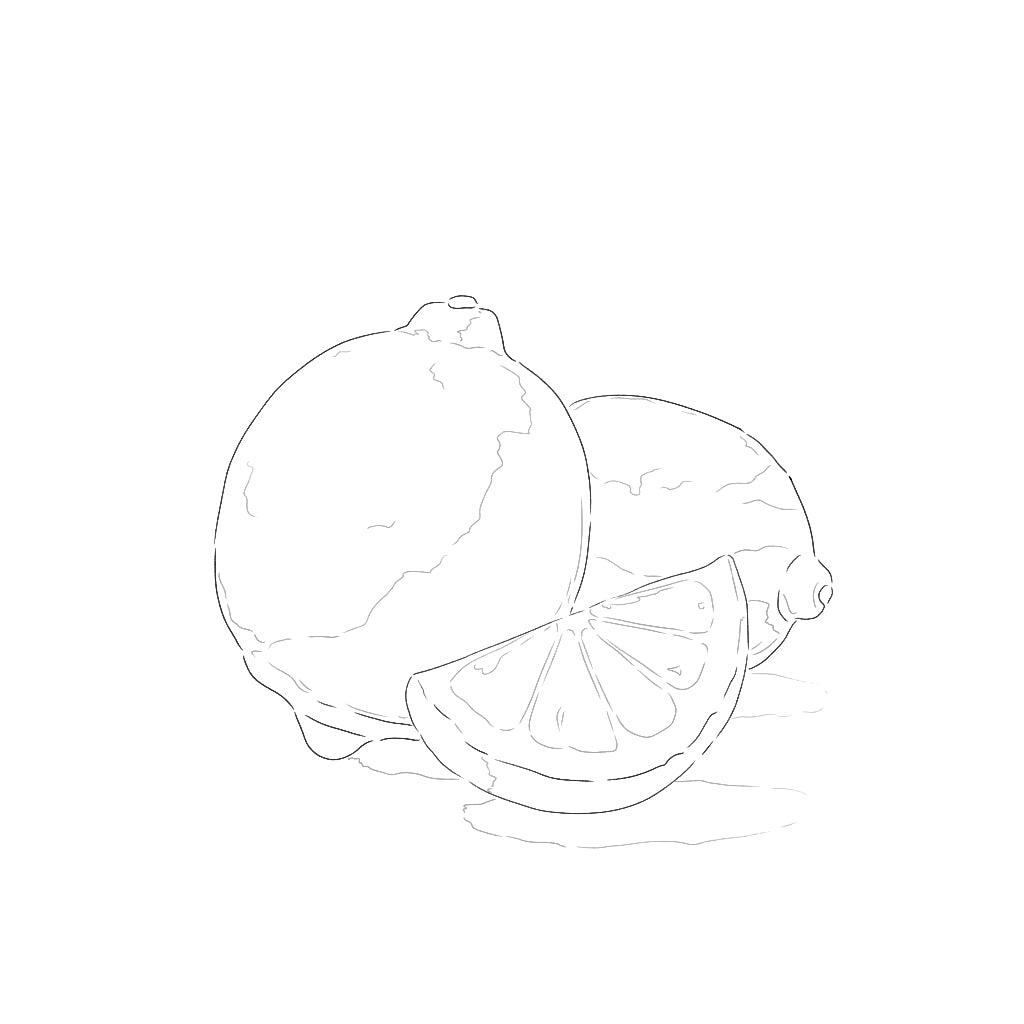 Procreate【T250531】 Realistic Watercolor Brushset