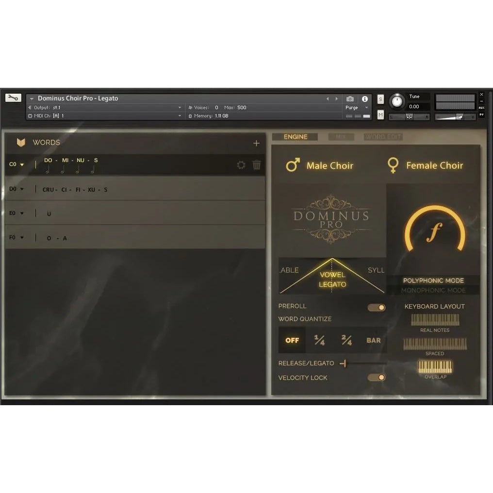 Dominus Choir Pro  Fluffly Audio (Win/Mac) *Kontakt Library*