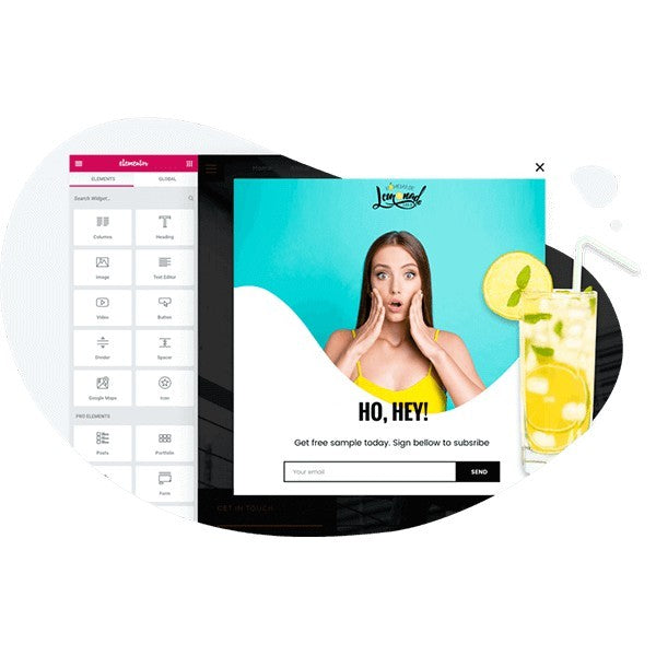 Elementor Pro GPL Wordpress Plugin