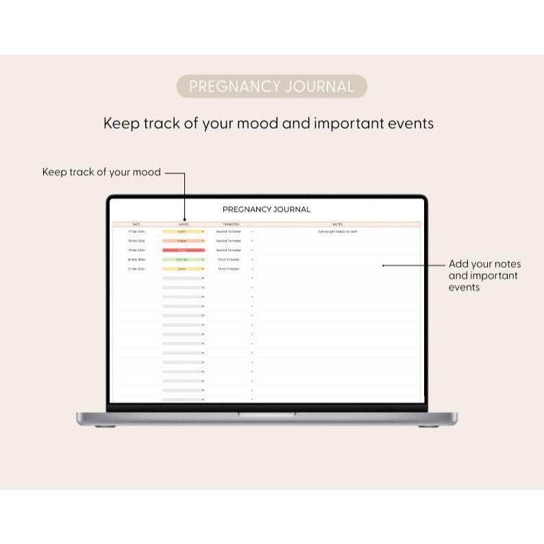 Baby Planner & Budgeting Spreadsheet | Persiapan Kelahiran Bayi Checklist Kehamilan Pregnancy Planner