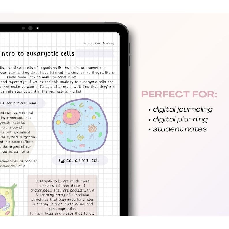 Handwritten Font Bundle for Digital Notes | Goodnotes Font Tulisan Tangan Student Note Taking iPad