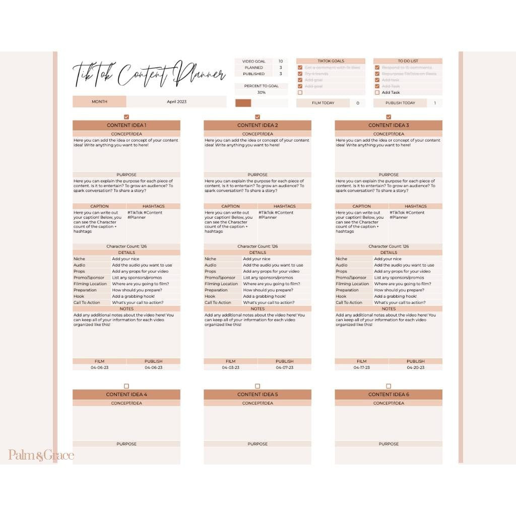 TikTok Content Planner Spreadsheet, Digital TikTok Planner, Google Sheets Social Media Content Calendar, Social Media Content Idea Organizer