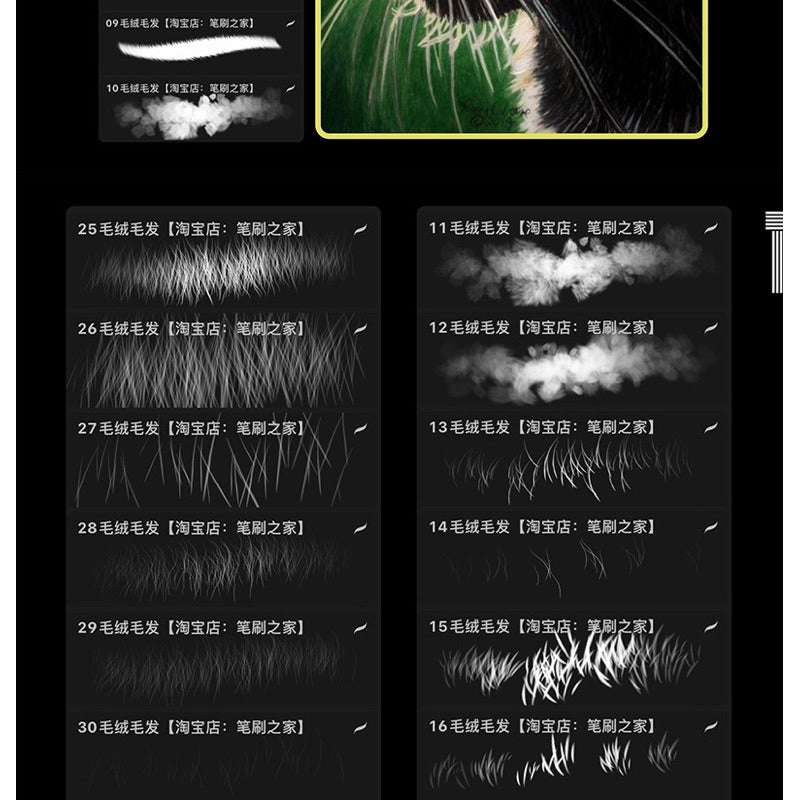 Procreate/Ps 56 บรัชขนสัตว์