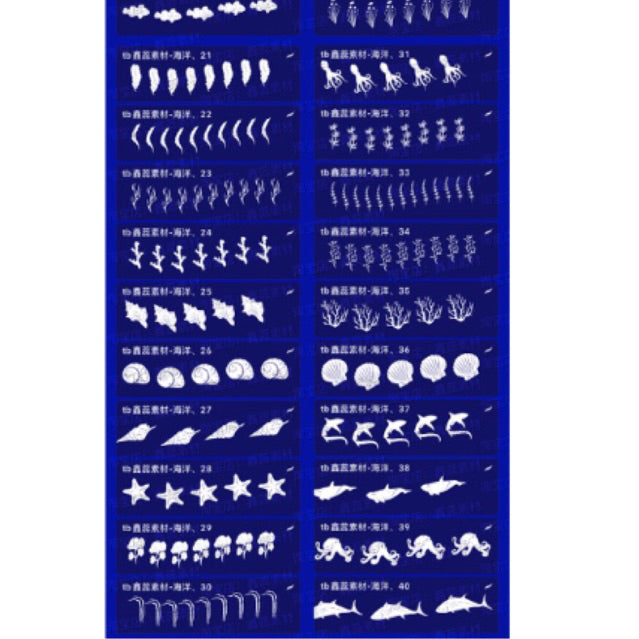 Procreate/Ps 40 บรัชสัตว์ทะเล