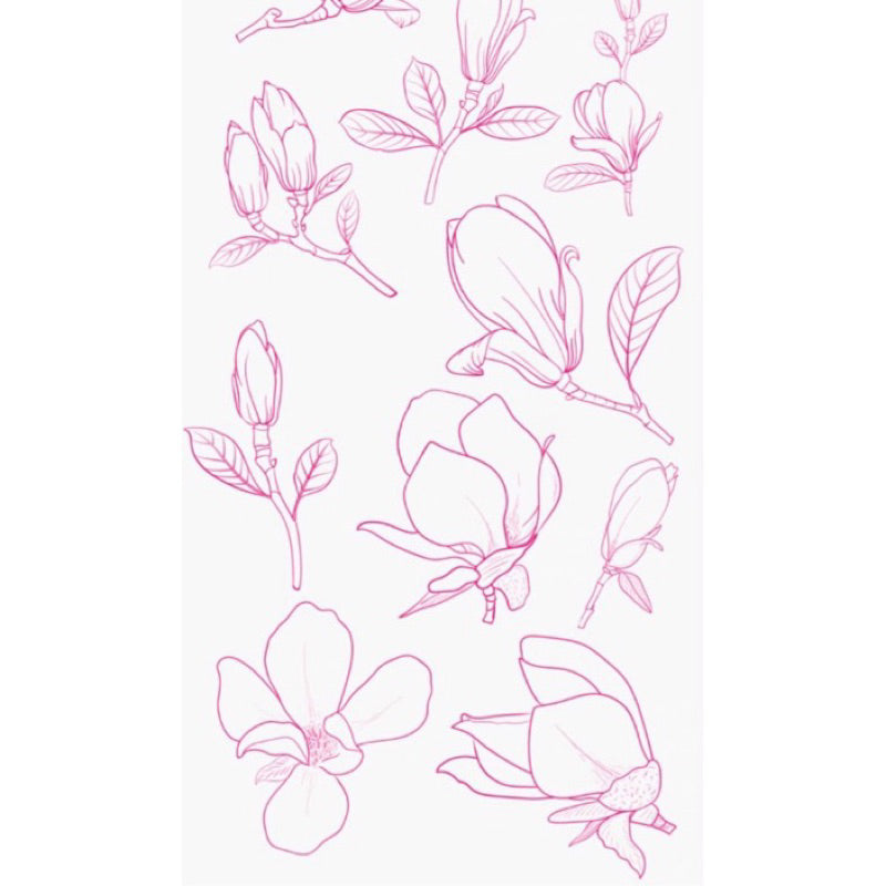 [Procreate/Ps] 60 บรัชดอกแมกโนเลีย